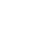 Vans/Buses